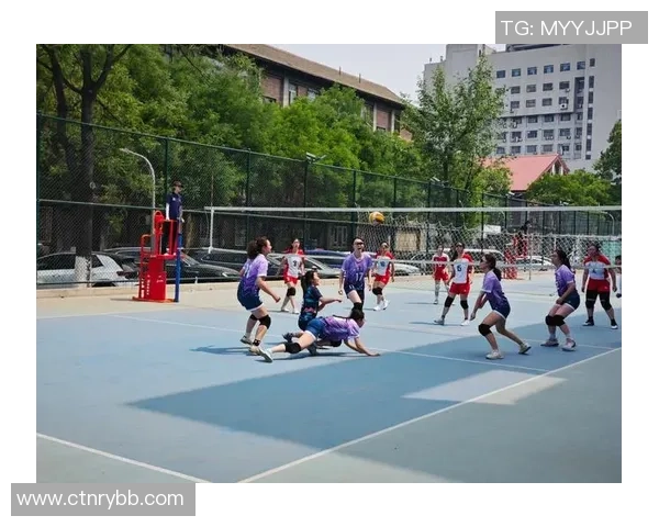 赵伟独家分享排球心得与技巧助你提升竞技水平和团队协作能力